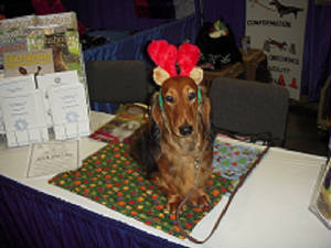 holiday/FrannieMeettheBreed2012.JPG